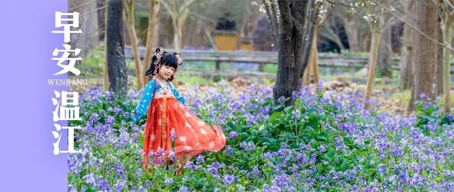 早安温江 | 成都将新添2座高铁站