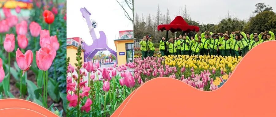 温江一家亲！企业发出邀请，她们成了花海“主角”