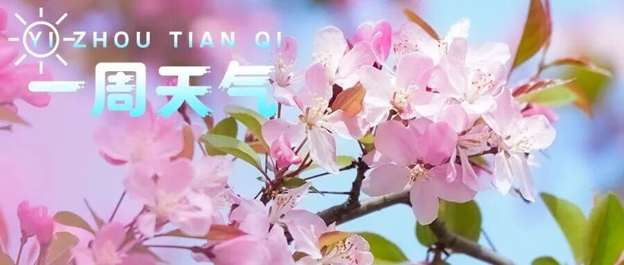 【一周天气】阳光开场！降温降雨就在→