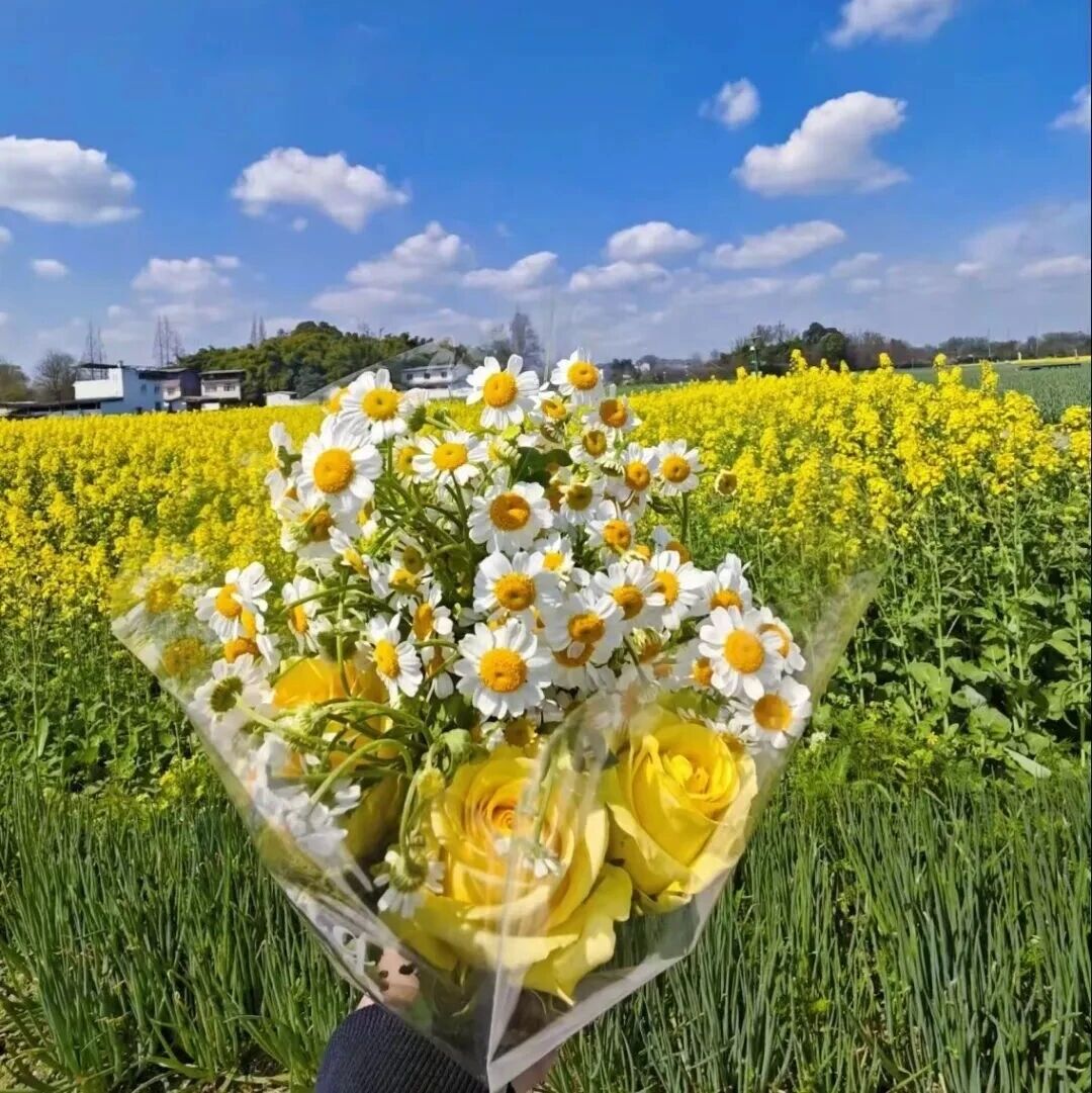 一份给她的赏花攻略，解锁春日最美“力”！