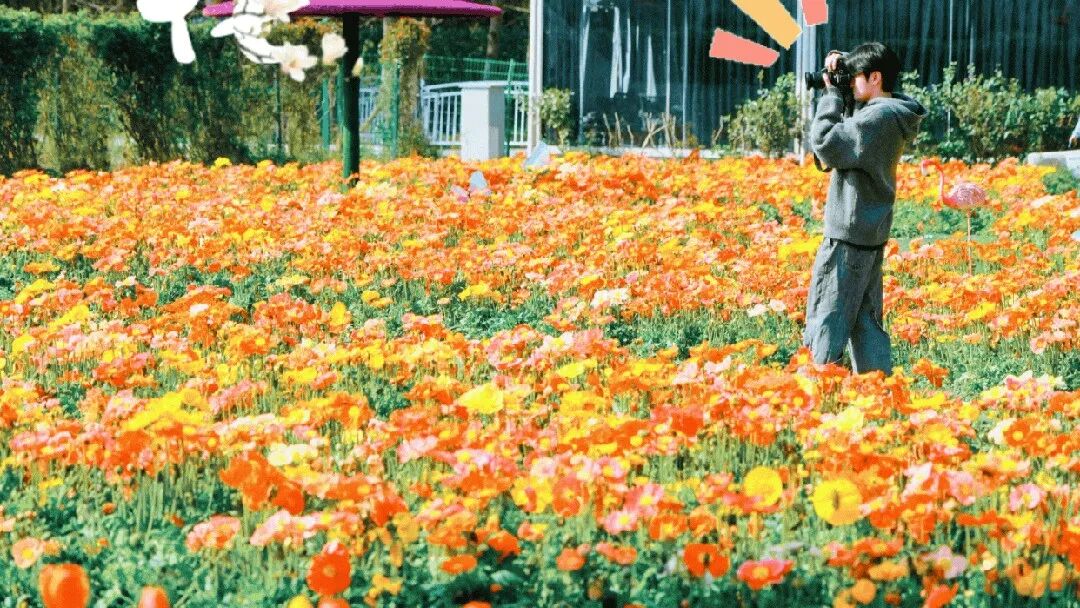 来温江，“郁”见一路繁花！（内附福利）