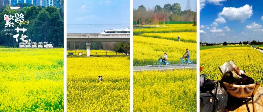 戳→「温江油菜花打卡地图」，解锁新玩法