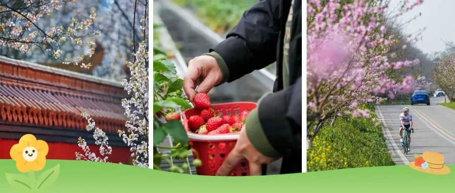 哇！温江的春天也太会了吧～