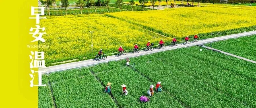 早安温江 | 让科技成果“先使用后付费”，四川出台操作指引