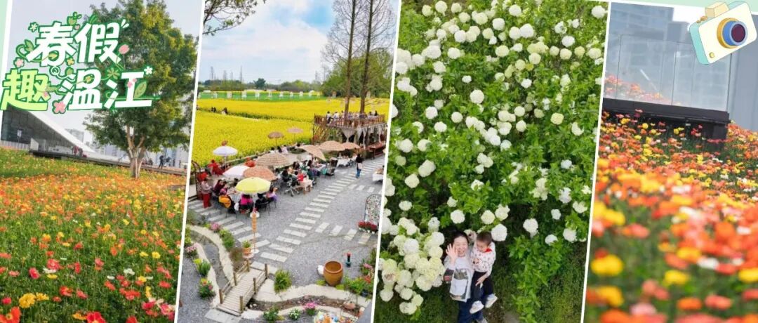 春假“趣”温江①丨解锁春日最in「趣野」指南→