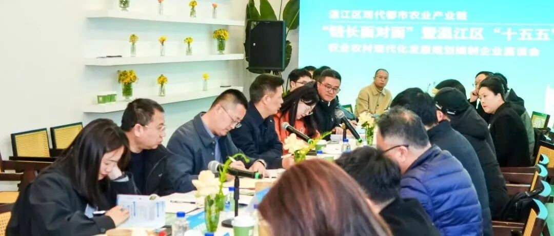 链长面对面，政企成“同桌”，聊出发展“金点子”