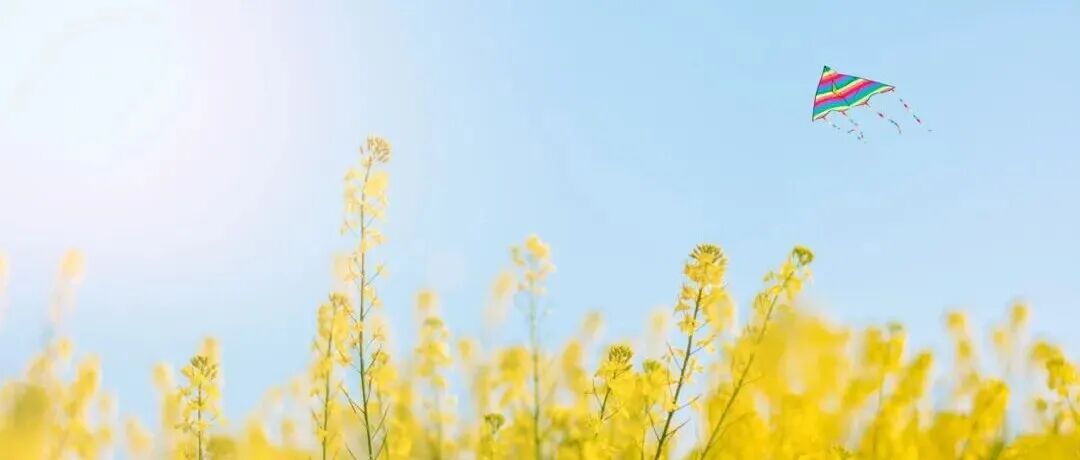 春分恰逢“龙抬头”，好运正当头！