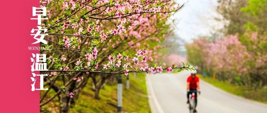 早安温江 | 四川出台普惠托育收费新规