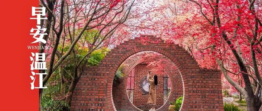 早安温江 | 4500万成都线上消费券来了