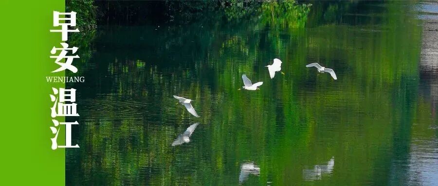 早安温江 | 171名！成都公安招聘辅警→