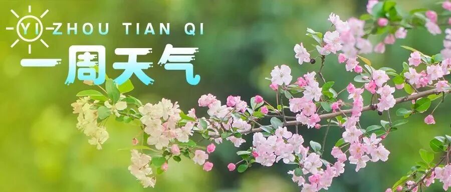 【一周天气】早晚有温差，推荐“洋葱式”穿衣法→