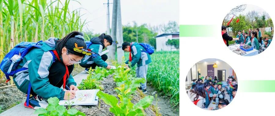 “气象+农文旅”课程体系！温江“少年气象家”在田间读懂风云