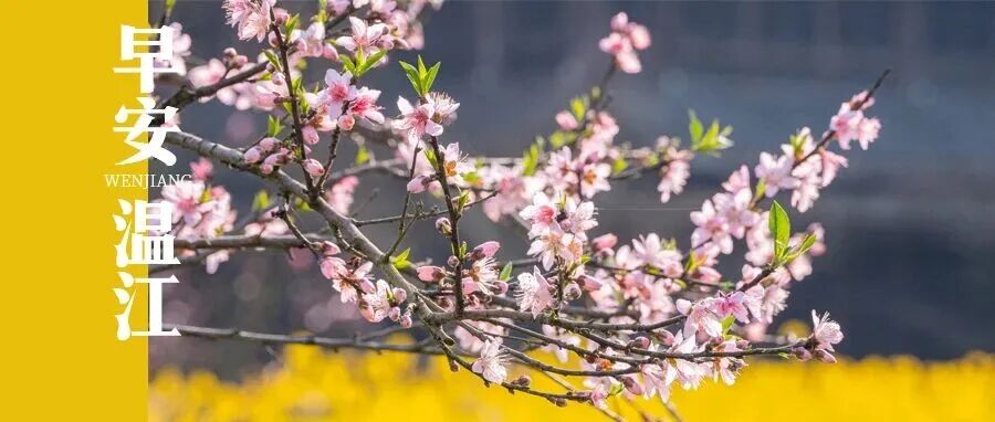 早安温江丨成都出台公积金新政！