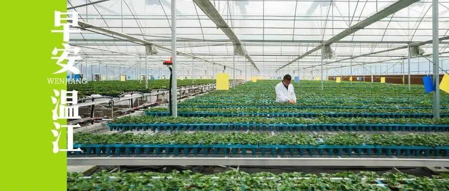 早安温江丨全国城市首发经济指数报告出炉！成都，全国第三