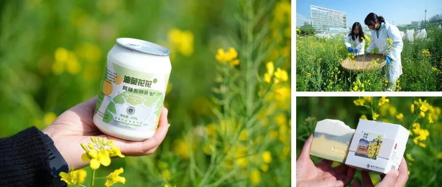 藏在温江油菜花海里的宝藏好物，成都人都追着买！（文末有福利）