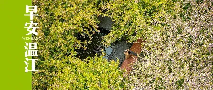 早安温江 | 放假就冲！四川百余家景区免门票