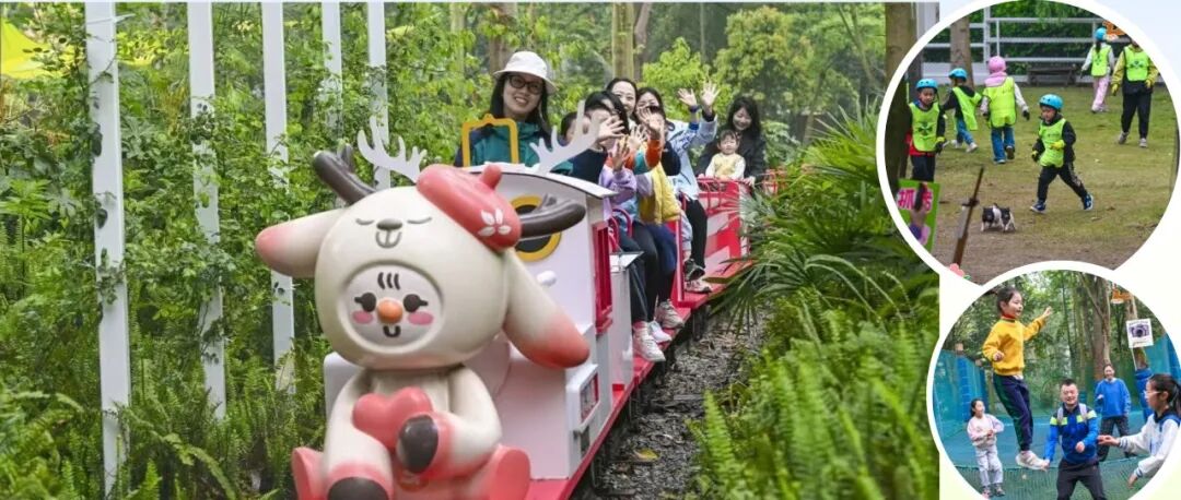 春日繁花，亲子同行！温江的春天被这群孩子“承包”了