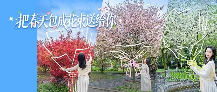 🤩把春天包成花束，送你一份温江专属春日浪漫~