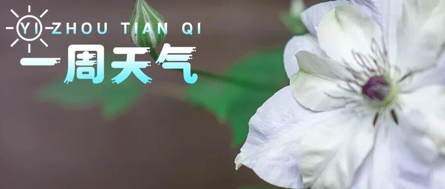 【一周天气】气温回升，最高26℃