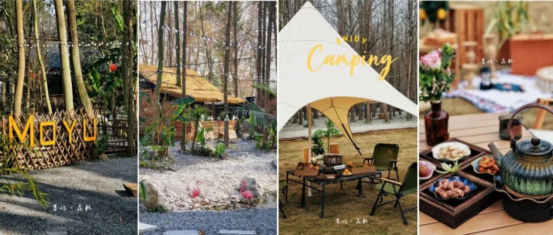 温江新添森系休闲新场景，春假踏青就来这里→（文末有福利）