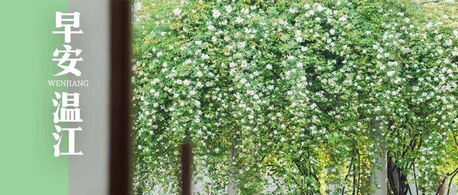 早安温江丨超200场，成都4月招聘活动安排来了