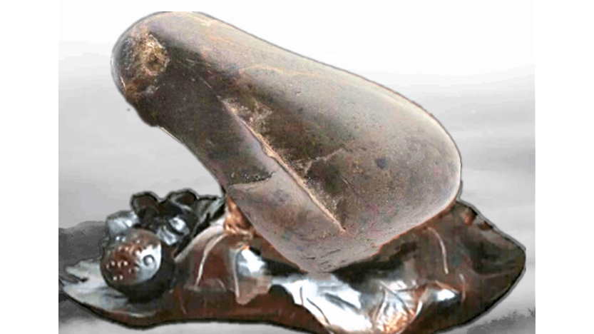 市民收藏奇石“凝望之蛙”荣获首届鉴谱奖观赏石动物类银奖