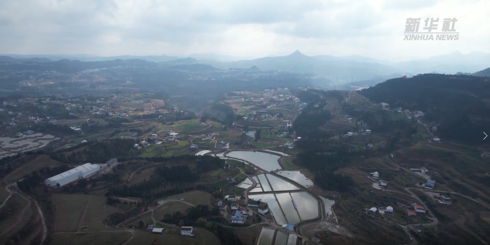 跟着代表去看看|美丽乡村什么样？