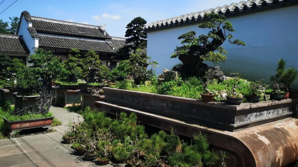 温江区首批区级非遗工坊名单出炉！