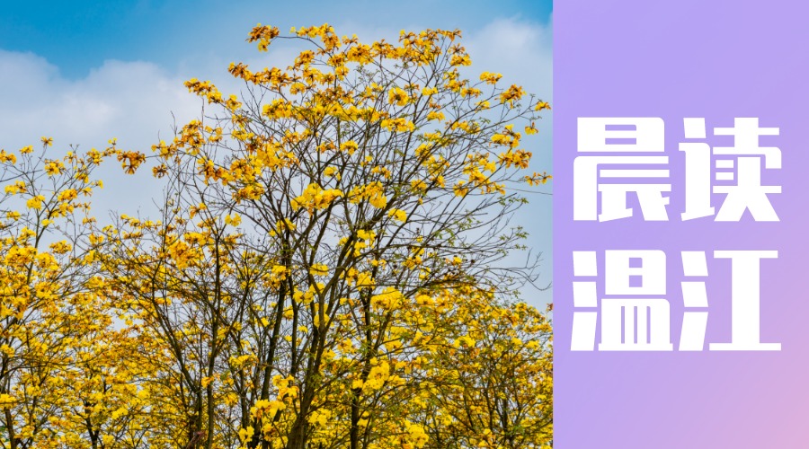 晨读温江 | 40家企业意向入驻 电子科大“三医+AI”科技园招商“加速跑”