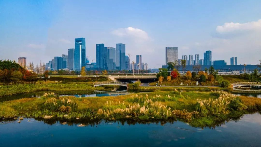 迎大运 文明风景靓起来