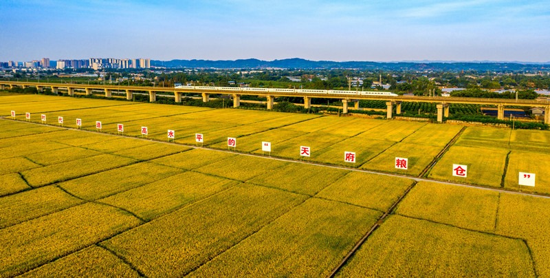 落实习近平总书记指示要求·调研记｜全心谋粮策 示范筑粮仓