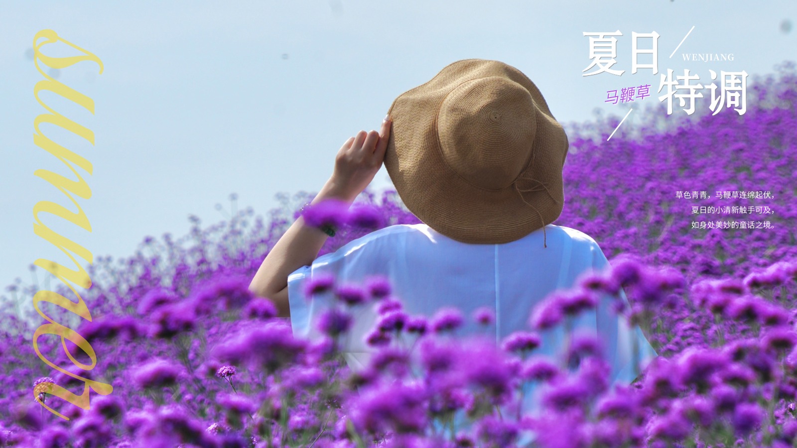 图说温江丨初夏梦幻紫  温江夏日特调  