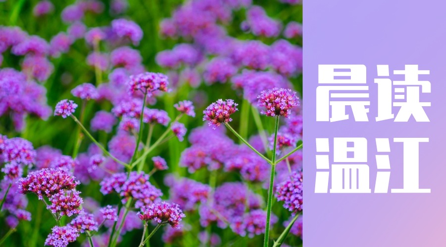 晨读温江 | 成都市2022—2023年度“三优”名单公布，温江区这些个人（集体）榜上有名！