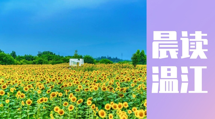 晨读温江丨2023年成都市温江区第九届青少年科技创新大赛开始啦