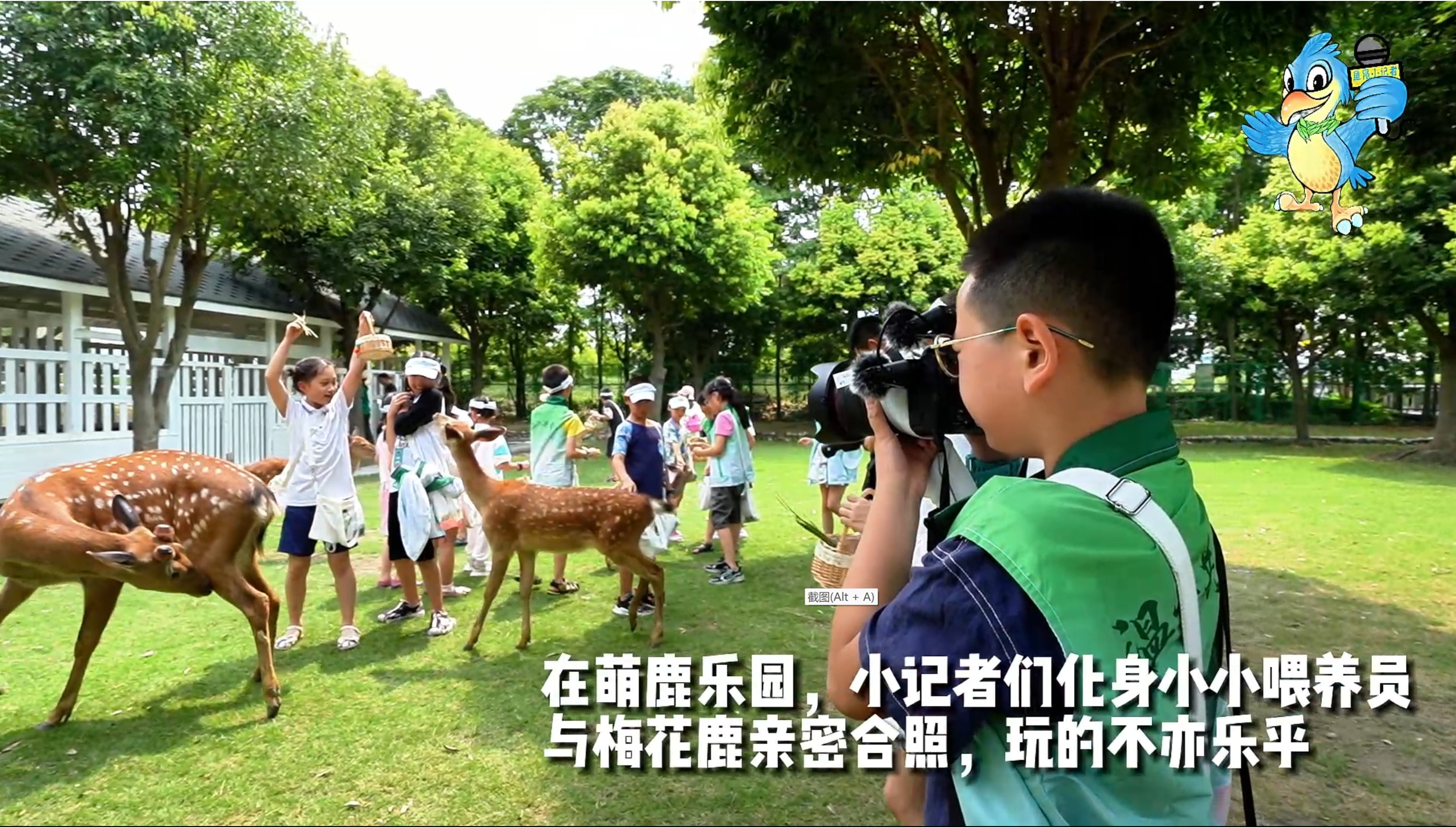 鱼凫小记者研学记（四）