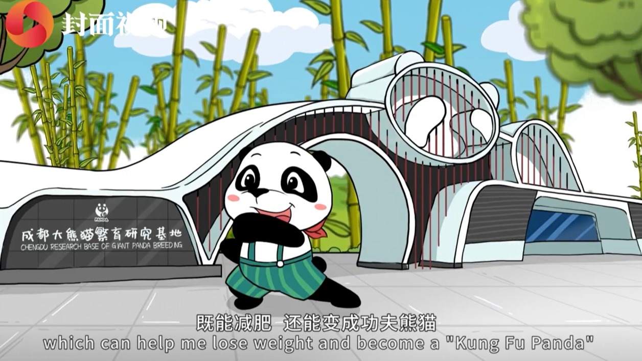 天府融媒看大运丨共赴青春之约 四川“顶流”备战成都大运会