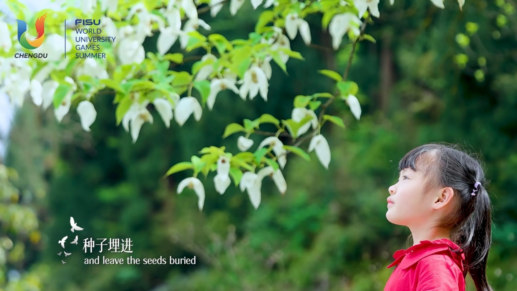 天府融媒看大运｜让世界听见荥经！《鸽子花》MV亮相成都大运会开幕式！