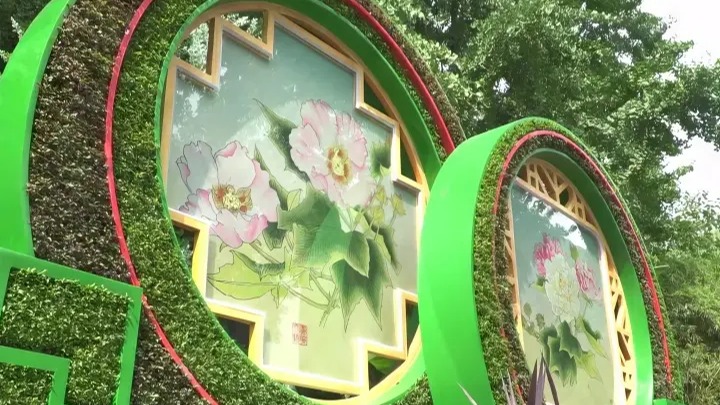 天府融媒看大运丨青神竹编《芙蓉锦绣》“绽放”成都大运会