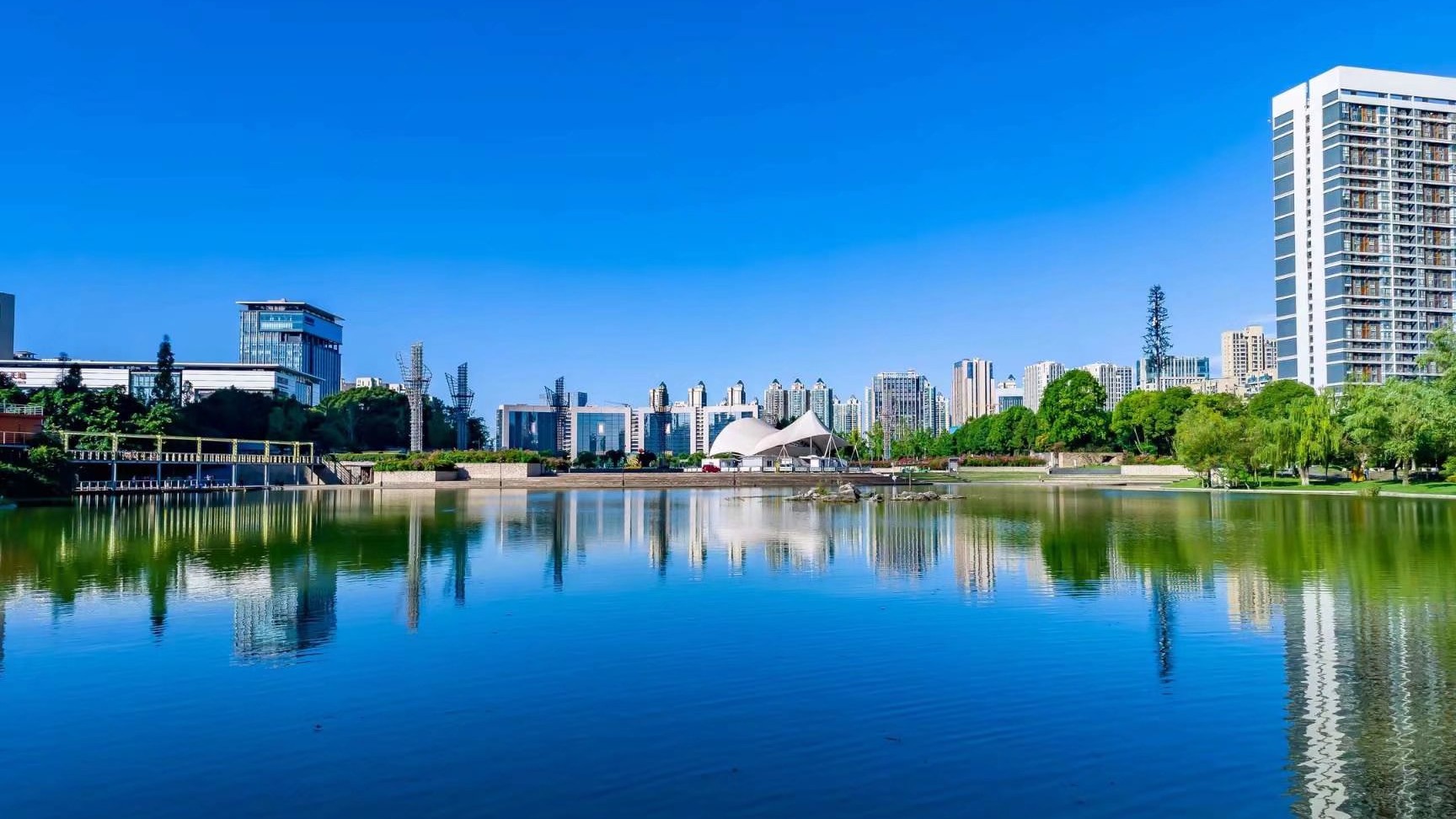 “鱼凫小记者”教师节征文作品展播丨一个我总想“炫耀”的人