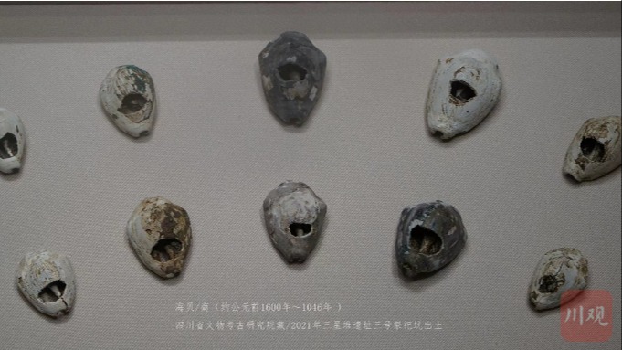 文化为媒，传承“开放”基因——写在首届金熊猫奖评选活动举办之际（上）