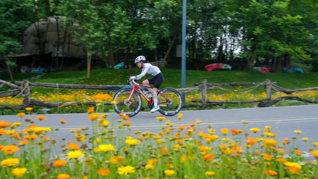 繁花似锦！来温江一起赏花啊~