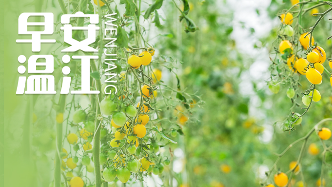 早安温江 | 四川公办本科高校+1