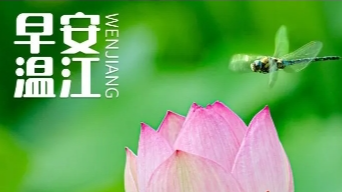 早安温江 | 1380亿元，“国补”将继续→