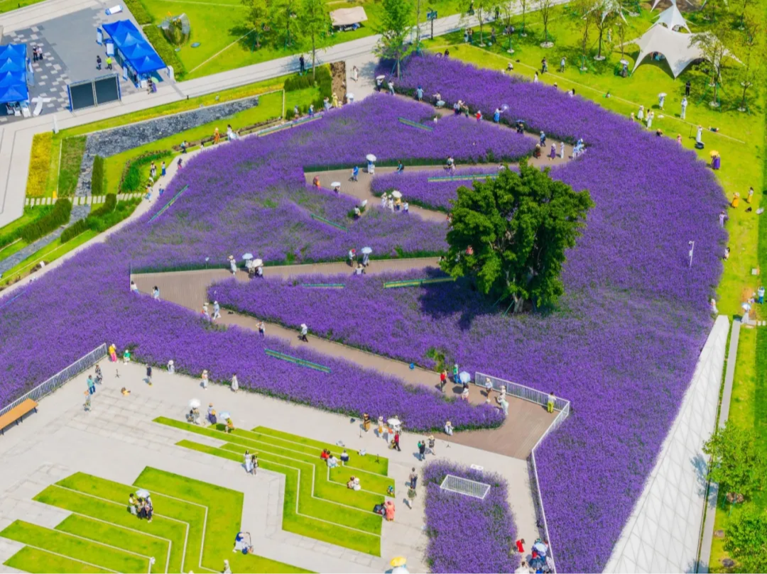 繁花似锦！来温江一起赏花啊~