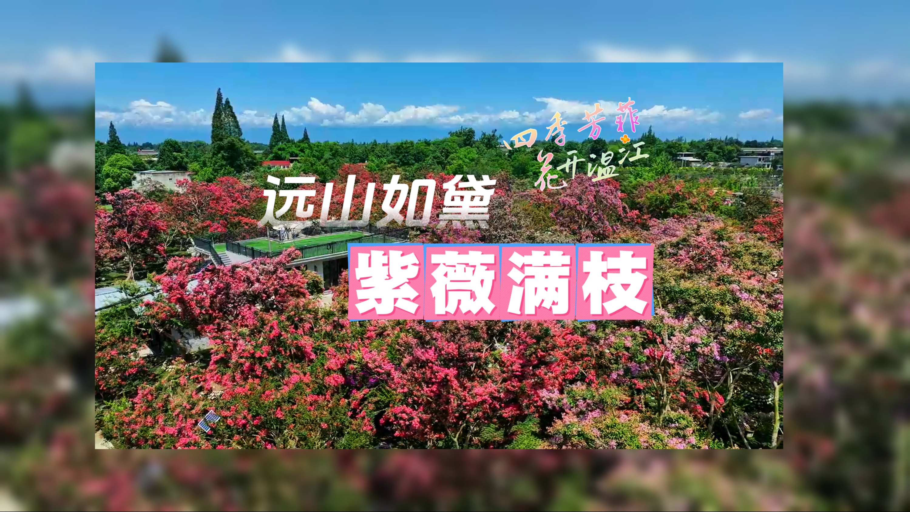远山如黛，紫薇满枝