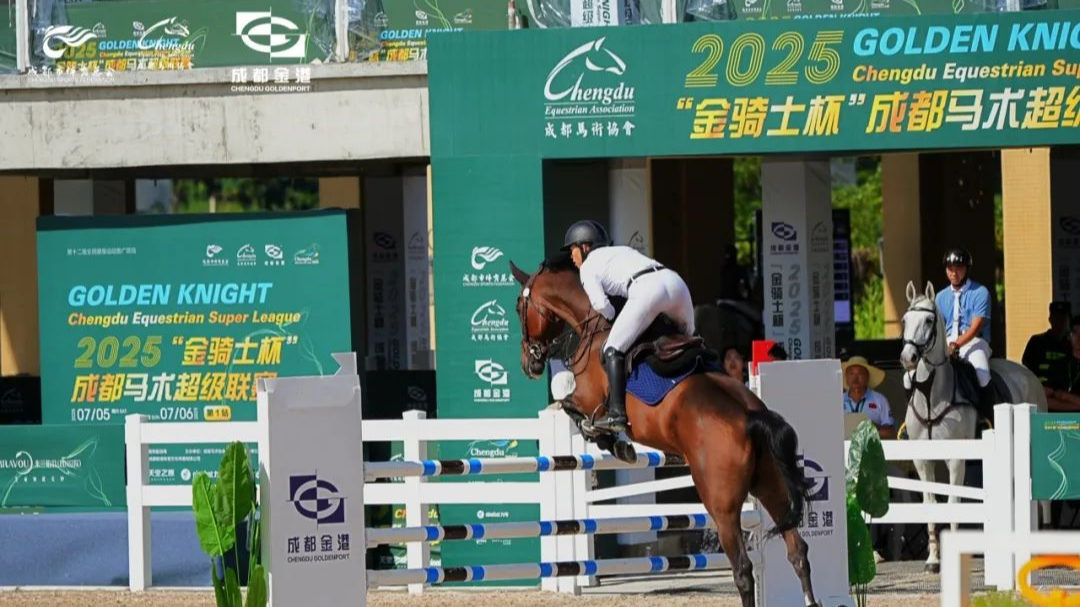温江马术赛场“焕新”首战！“金骑士杯”联赛点燃夏日激情