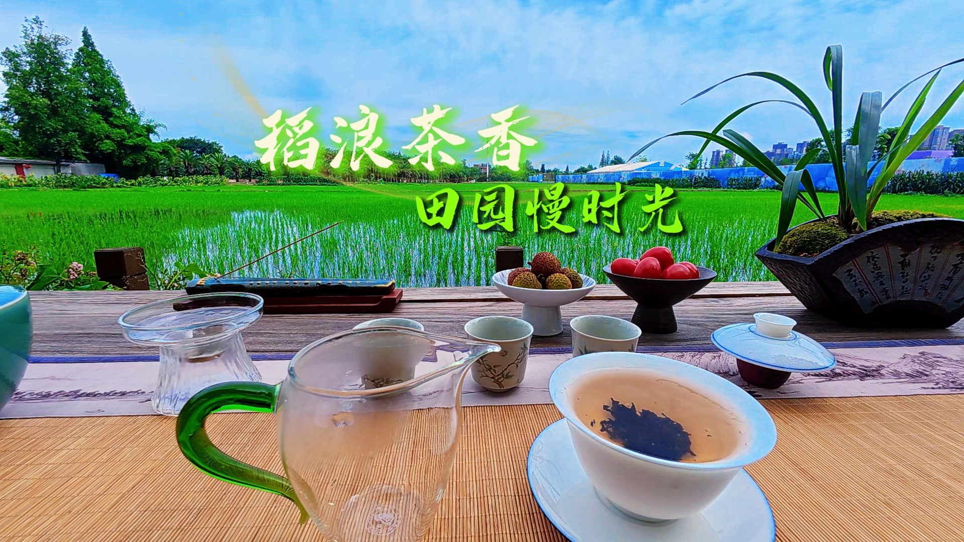 小杨Let's go稻浪茶香~田园慢时光