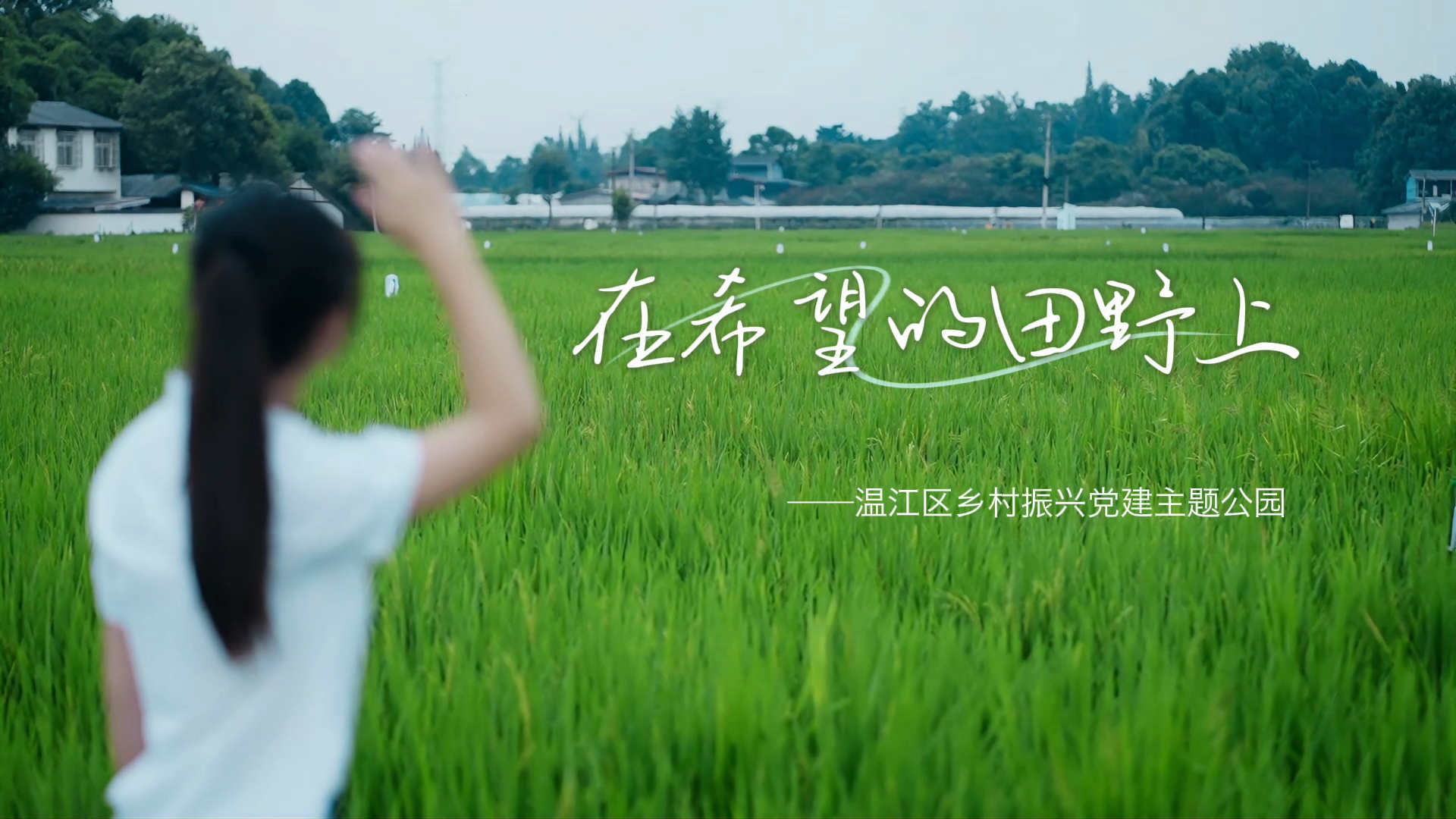 在希望的田野上