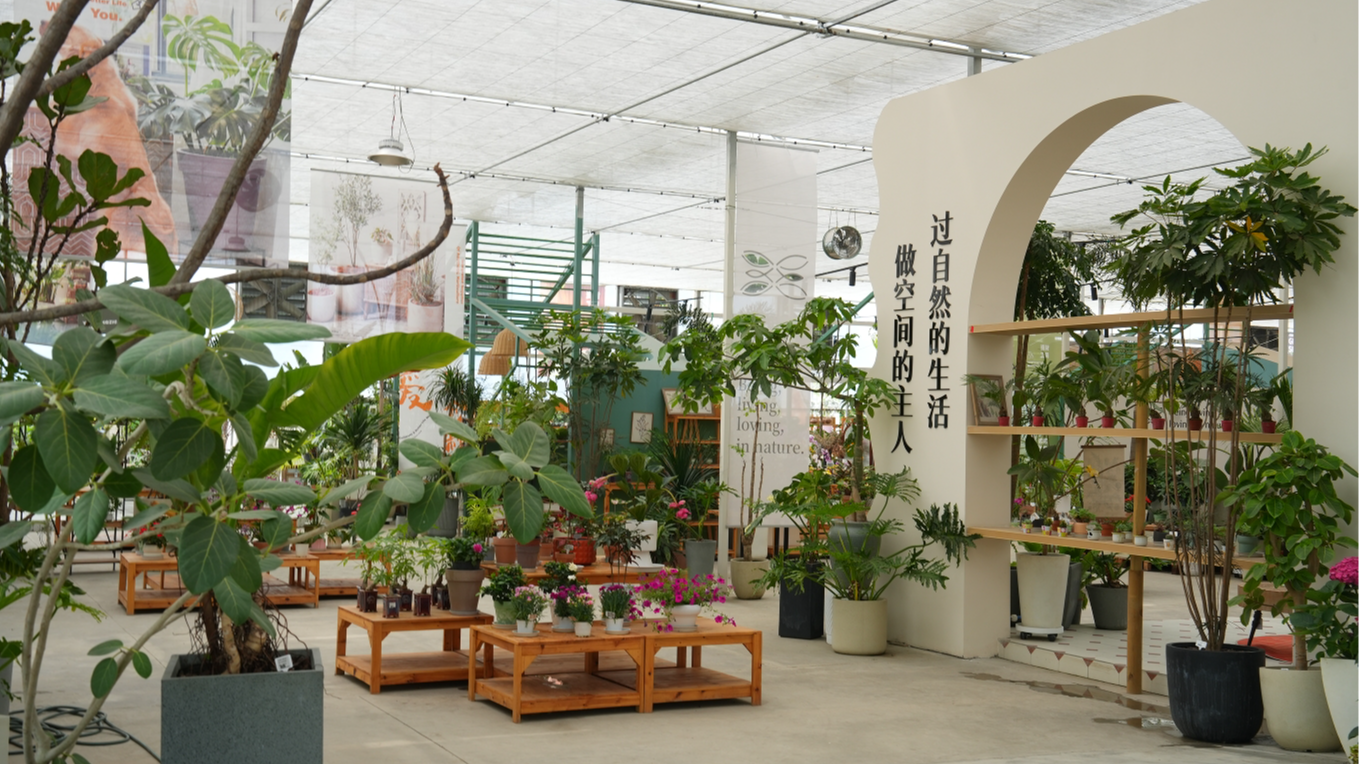 来温江！捧一盆“会呼吸的夏天”回家吧~