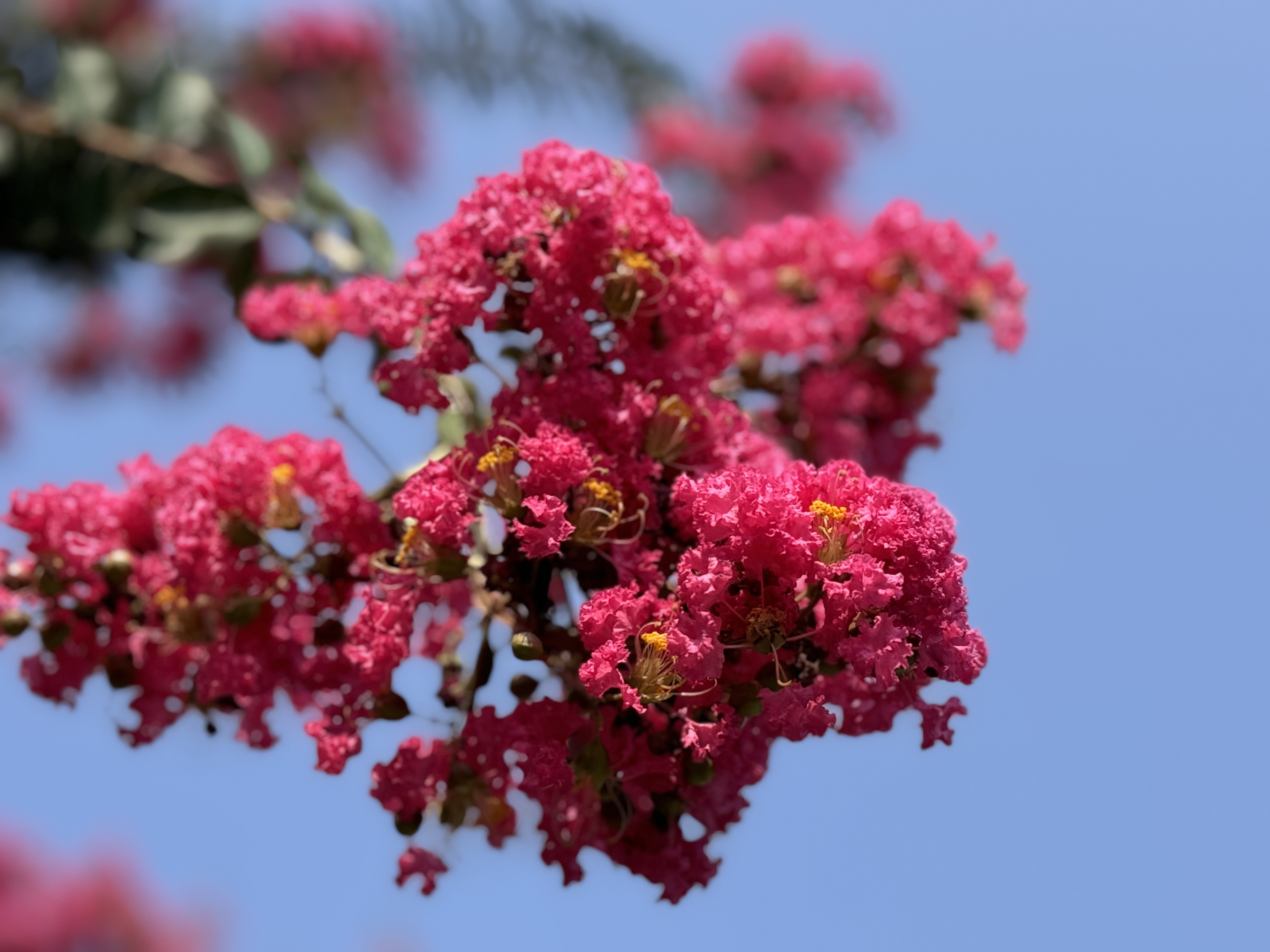 ab242a4b-fa89-485c-9c08-20c6f7d97686.jpg